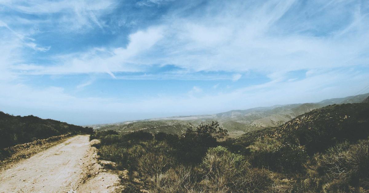 ¿Cómo generar leads para mi empresa?