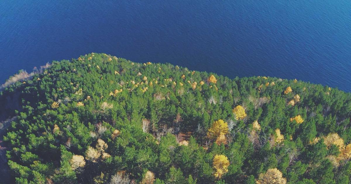 Marketing Digital para Empresas en Chile: Estrategias que Generan Resultados Reales